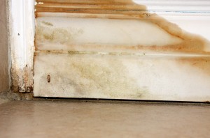 The 5 Biggest Problems A Leaky Basement Can Cause