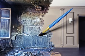 Mold Remediation Protects The Most Vulnerable Members Of Your Family