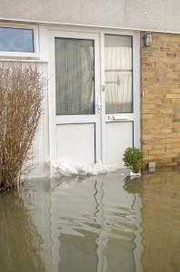 Flooded Basements Can Shut Down Your Entire Business In A Matter Of Minutes