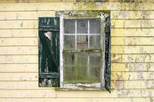 How Professionals Seek And Destroy Mold During Mold Remediation