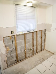 Find Out Why You May Need Mold Remediation