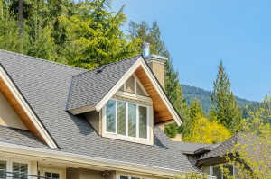 How Your Roof Affects Your Basement