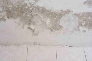 How To Prevent Mold In Your Basement