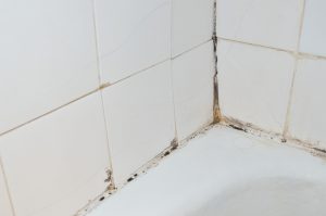 3 Places To Look For Mold