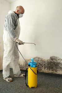 What Exactly Is Mold Remediation?